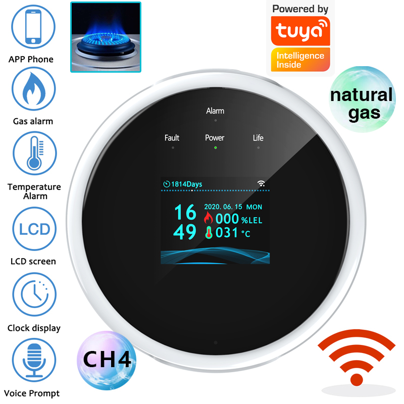 Smart Home Automation System - 2.4G WiFi Gas Alarm Sensor Combustible