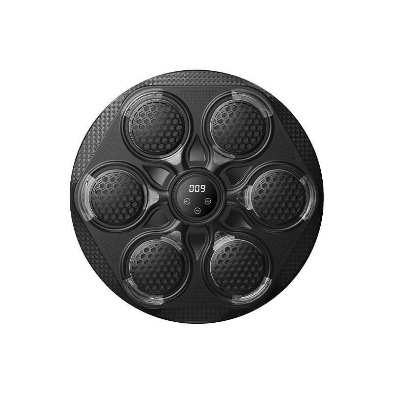 2026 Fitness Home Boxing Targe - Smart Home Lighting recension och pris