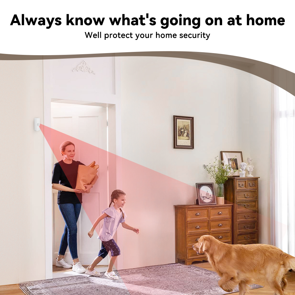 Tuya Smart PIR Motion Sensor S - Smart Home Wiz recension och pris