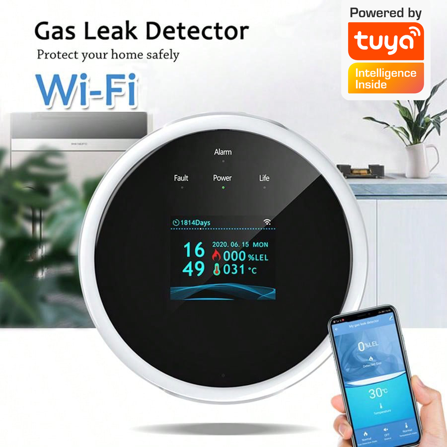 2.4G WiFi Gas Alarm Sensor Com - Smart Home Automation System recension och pris