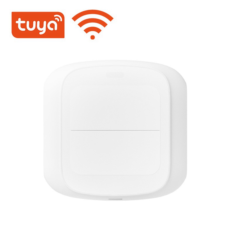 ●Tuya WIFI 2 Gang Scene Button - Smart Home Control Panel recension och pris